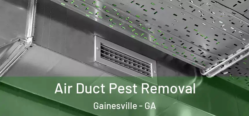 Air Duct Pest Removal Gainesville - GA