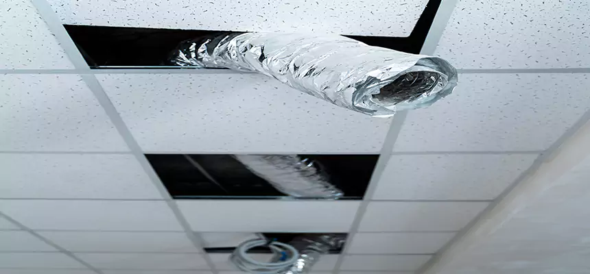 Our Air Duct Pet Hair Removal Services in Gainesville, GA