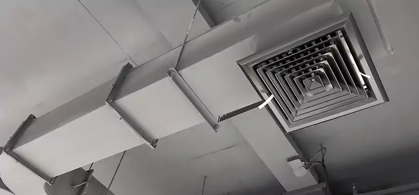 Restorative Allergy Relief Vent Cleaning – Coil, Blower & Housing Detail in Gainesville