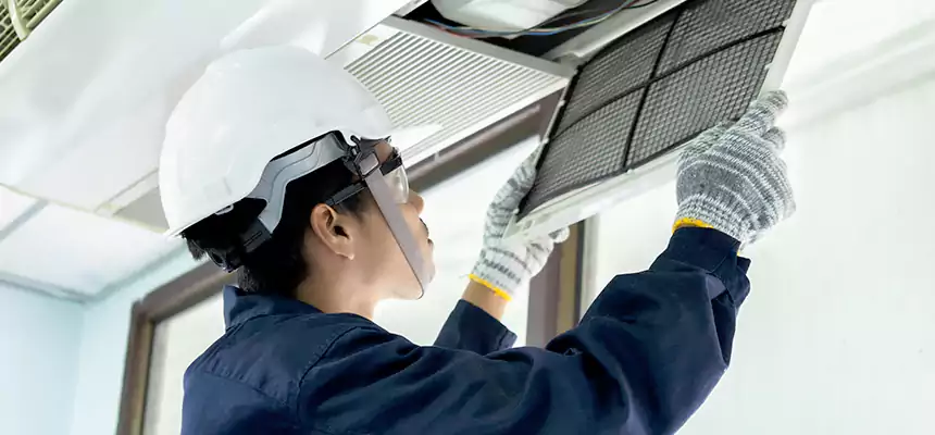 Our Mold & Mildew Removal from Air Ducts Services in Gainesville, GA