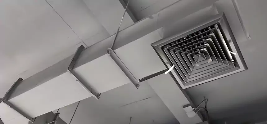 Our Pest Removal From Ducts Services in Gainesville, GA