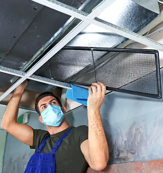 About Air Duct Bacteria Removal in Gainesville