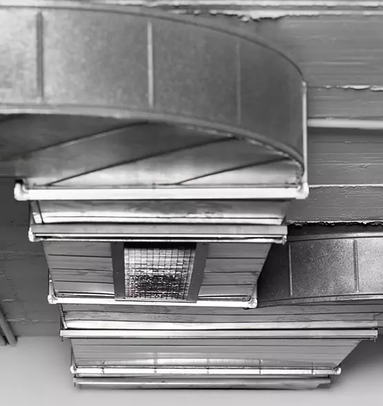 Professional Air Duct Pest Removal in Gainesville, GA