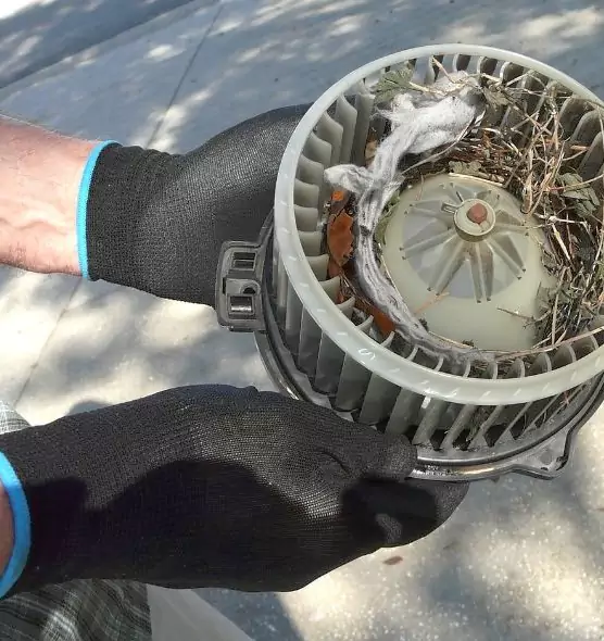 About Air Duct Rat Removal in Gainesville, GA