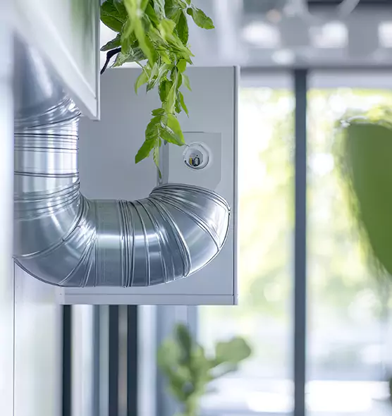 Professional Eco-Safe Dryer Vent Cleaning in Gainesville, GA