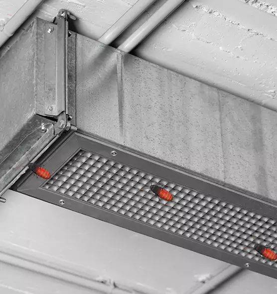 Affordable Insect Removal from Air Ducts in Gainesville, GA