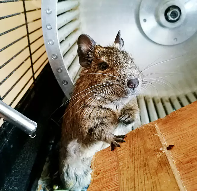 Why Homeowners & Businesses Trust Us Gainesville, GA?