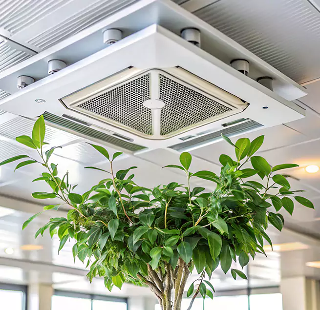 Why Homeowners & Businesses Trust Us in Gainesville, GA?