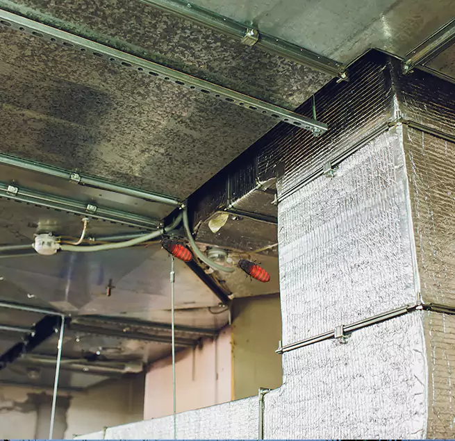 Why Homeowners & Businesses Trust Us Gainesville, GA?