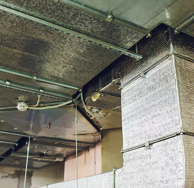 Why Homeowners & Businesses Trust Us in Gainesville, GA?