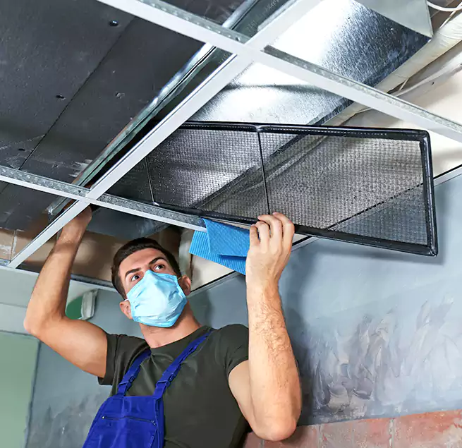 Why Homeowners Businesses Trust Us in Gainesville, GA